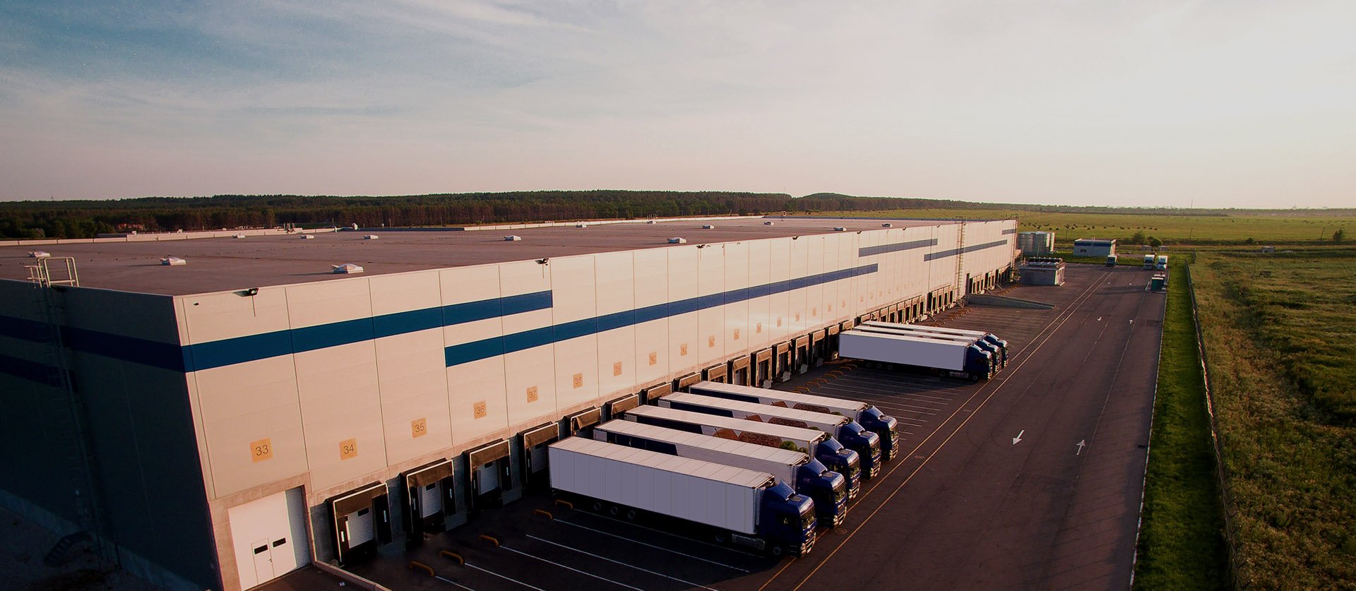 Commercial Roofs